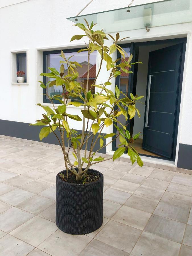 Casa Patio Country House Enxara do Bispo 외부 사진