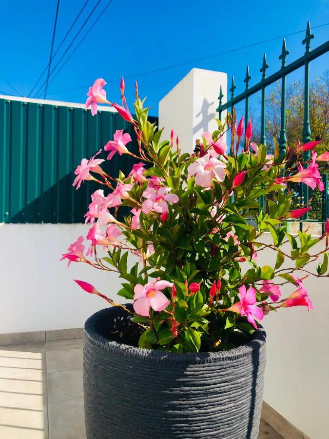 Casa Patio Country House Enxara do Bispo 외부 사진